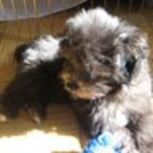 Meet your Posher, Evan